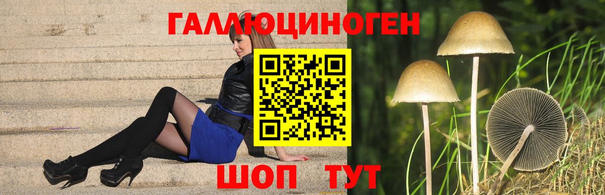 Галлюциногенные грибы Psilocybe Лангепас